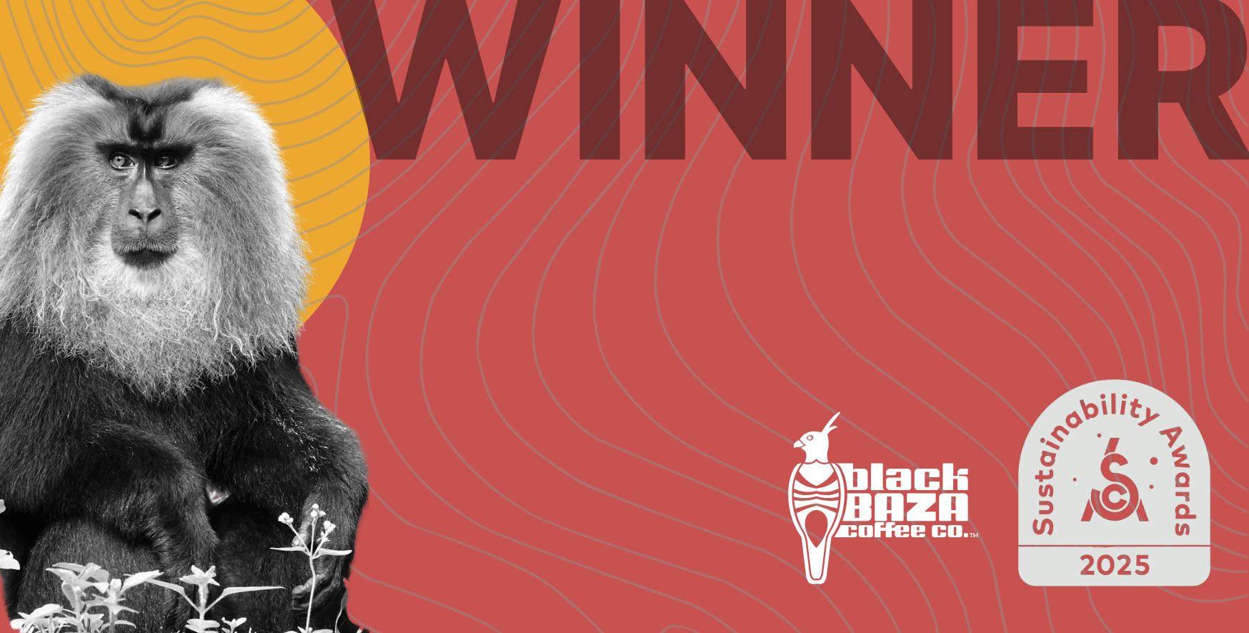 Black Baza Wins SCA Sustainability Awards 2025!