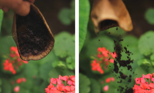 Caring for your khadi coffee filter