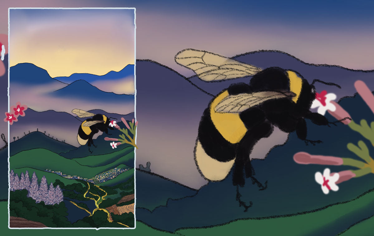 The Nilgiris, Tamil Nadu