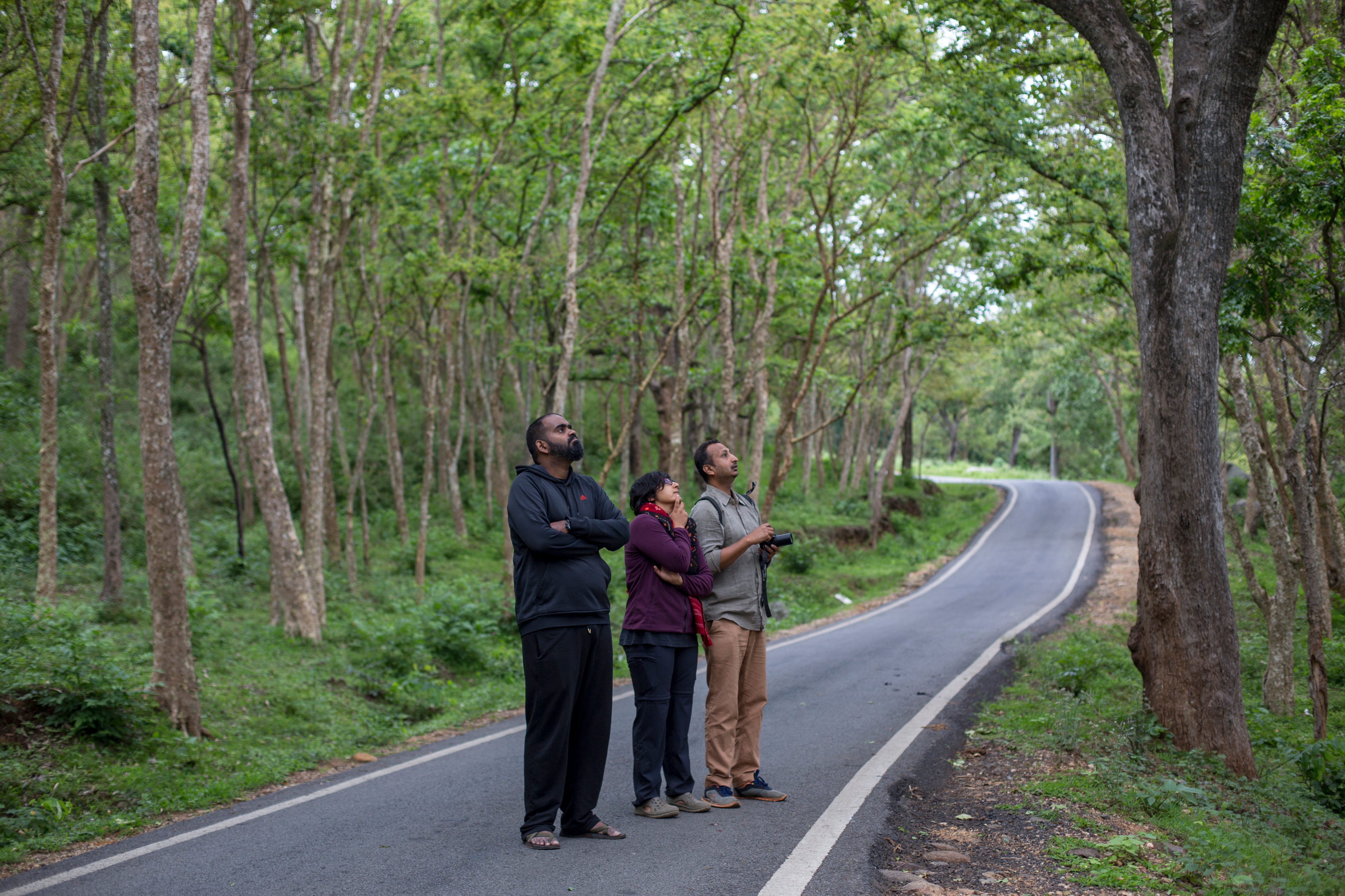 Not-an-ape, and other notes from a biodiversity noob