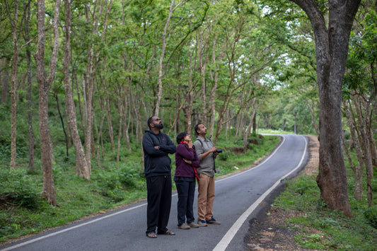 Not-an-ape, and other notes from a biodiversity noob