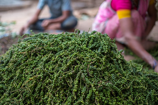 Notes from the Field