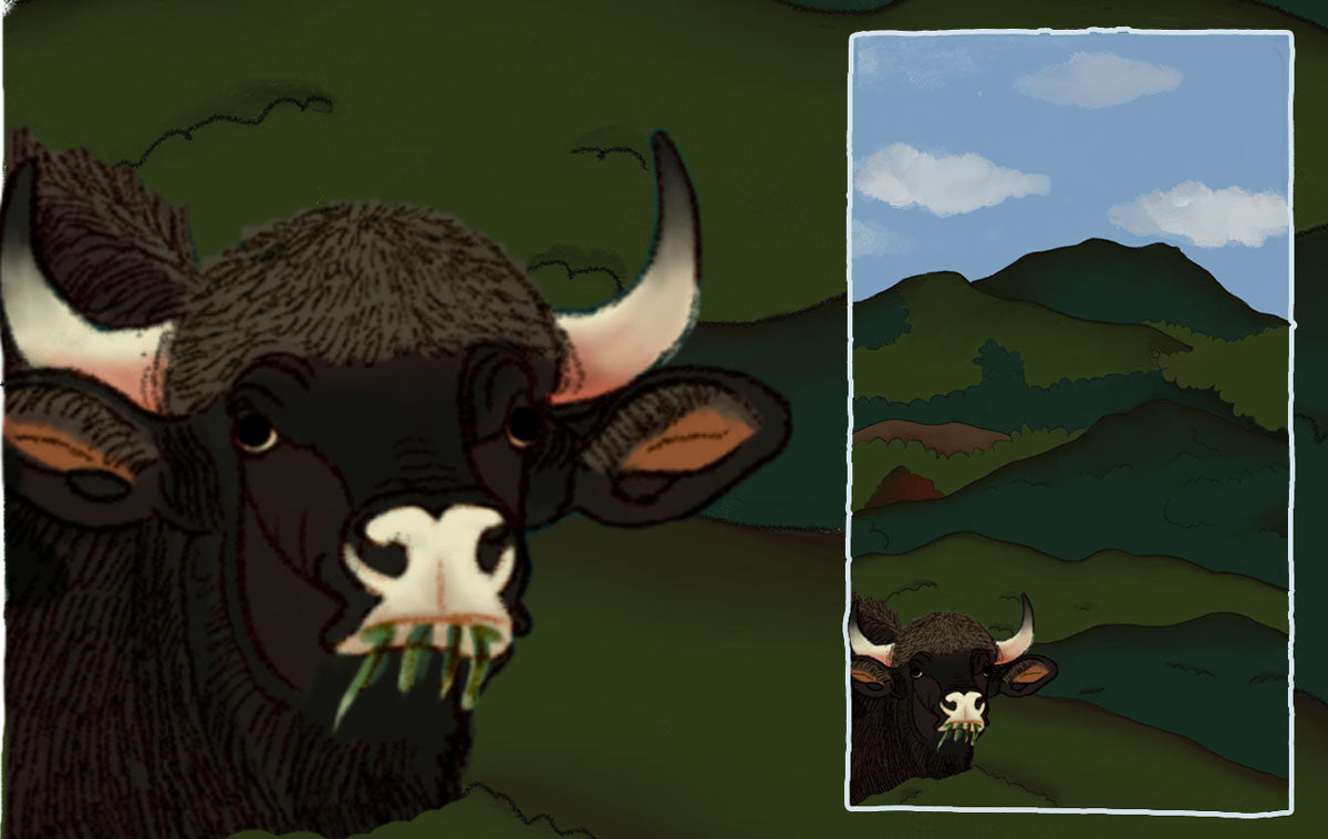 Palani Hills, Tamil Nadu