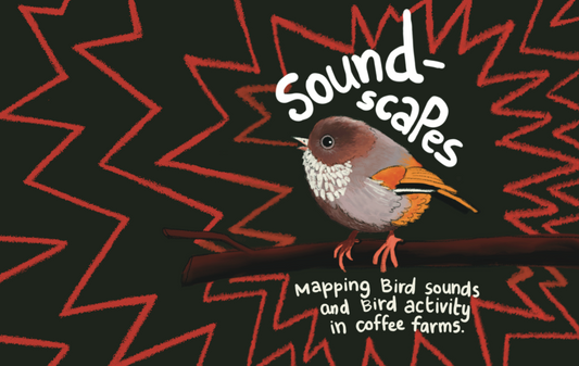 Why monitor bird diversity?