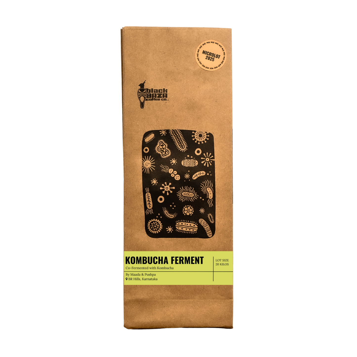 Kombucha Ferment