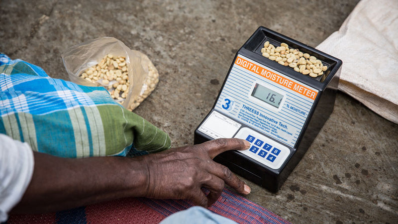 Capacity-Building for Climate Resilience & Post-Harvest Practices