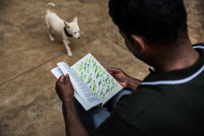 What is Biodiversity-Friendly?