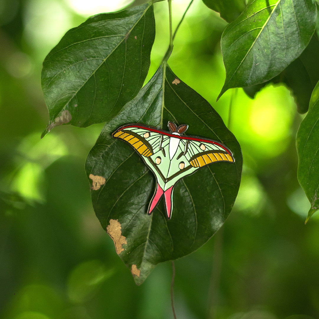 Wild Keepsakes: Luna Lapel Pin