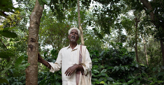 The first man to grow coffee