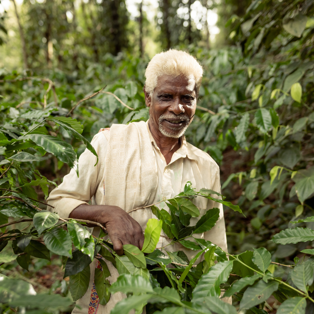 Grower Image 3