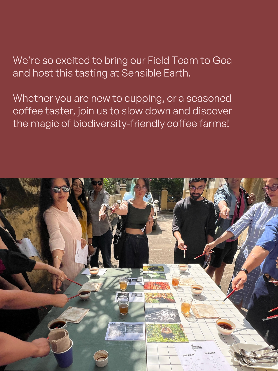 From Forest to Cup — Goa Edit