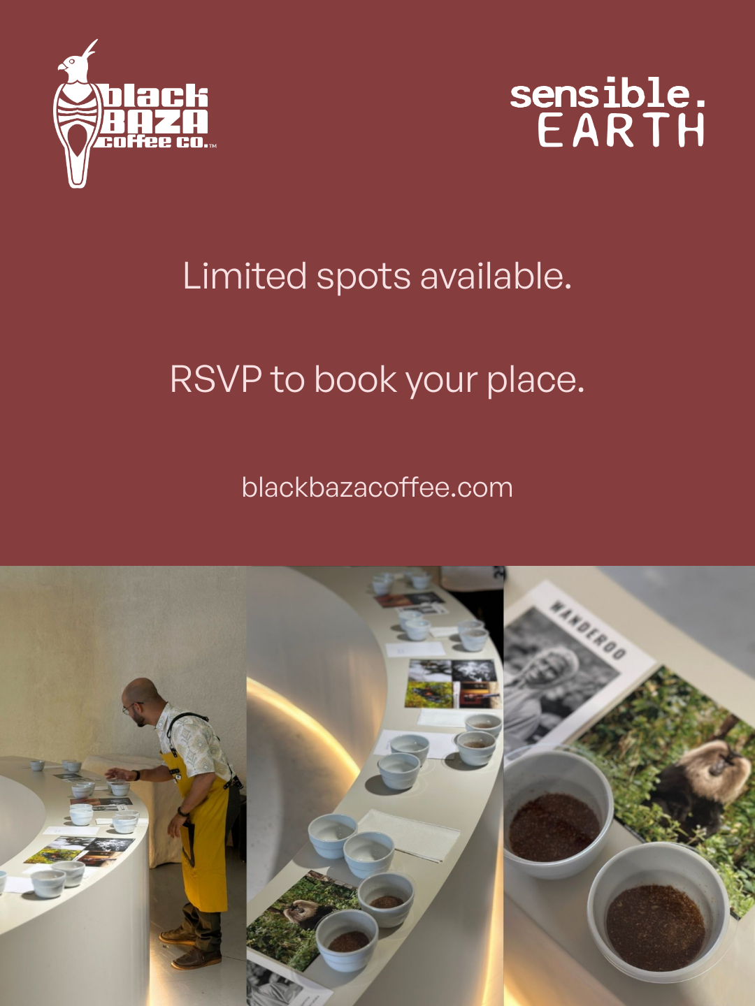 From Forest to Cup — Goa Edit