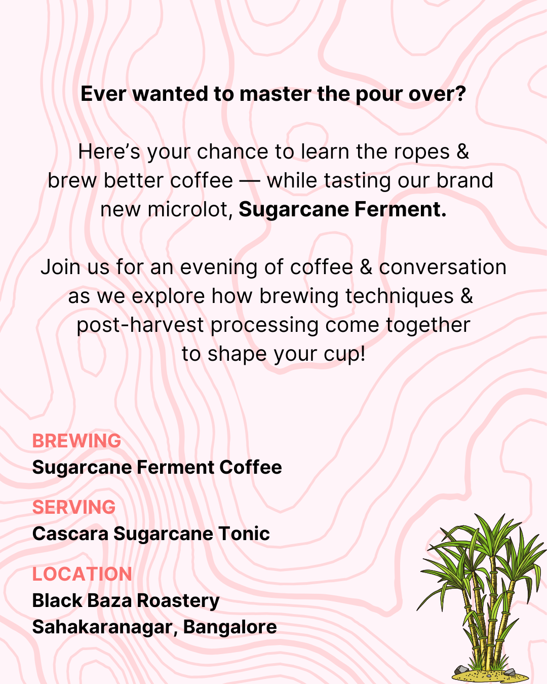 Steeping Stories
