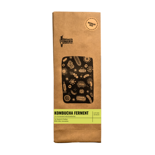 Kombucha Ferment