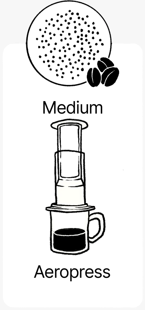 aeropress