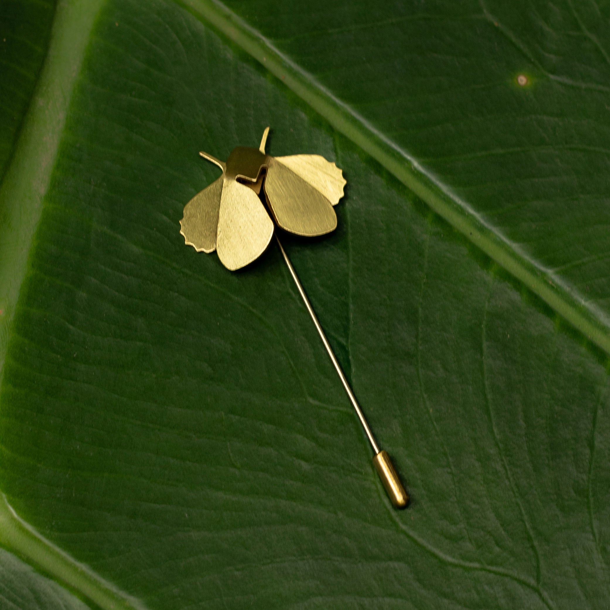 Origin Image 2