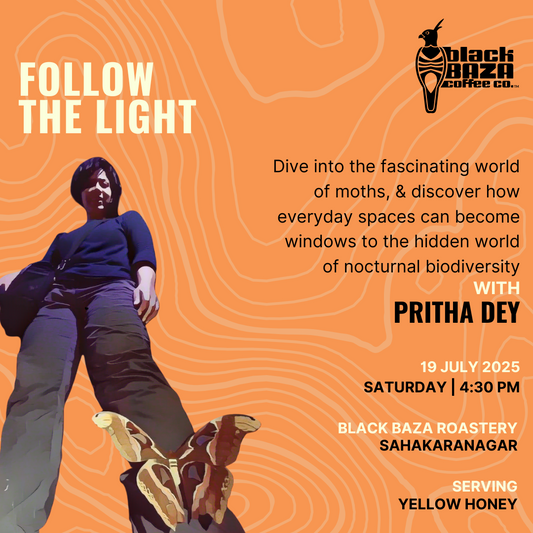 Follow The Light