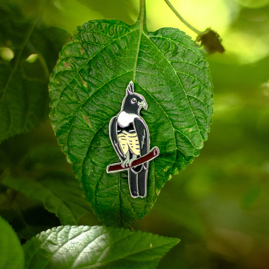 Wild Keepsakes: Black Baza Lapel Pin